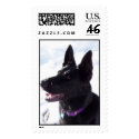 Black German Shepherd postage by rickped Black German Shepherd postage