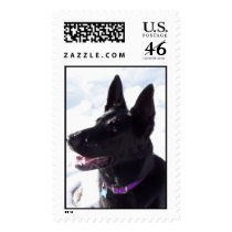 Black German Shepherd postage