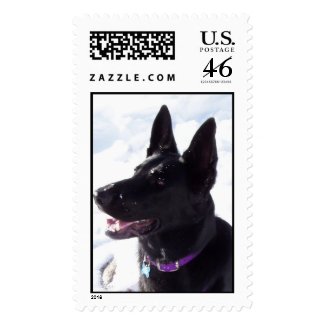 Black German Shepherd stamp