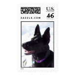 Black German Shepherd Postage Stamp