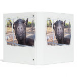 Black goat big yellow eyes nose first view binder