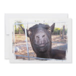 Black goat big yellow eyes nose first view custom invites