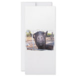 Black goat big yellow eyes nose first view customized rack card