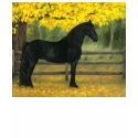 Black Gold - shirt by cindypriceart Black Gold - shirt