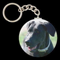 Black Great  Dane keychains