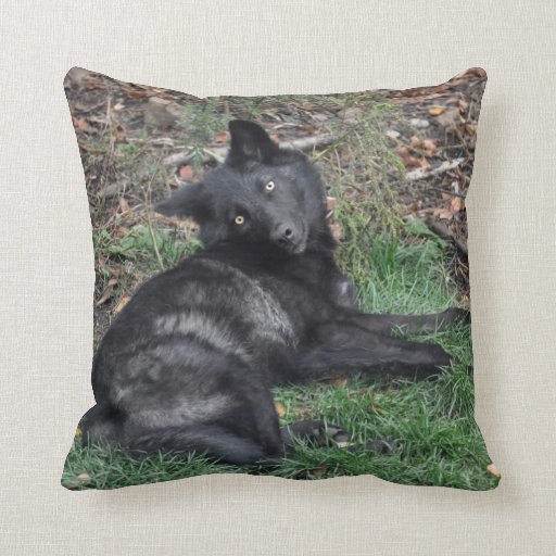 Black Grey Wolf Pup Wildlife Throw Pillow Zazzle