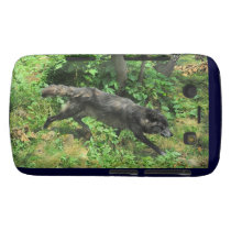 Black Grey Wolf Wildlife Photo Blackberry Case