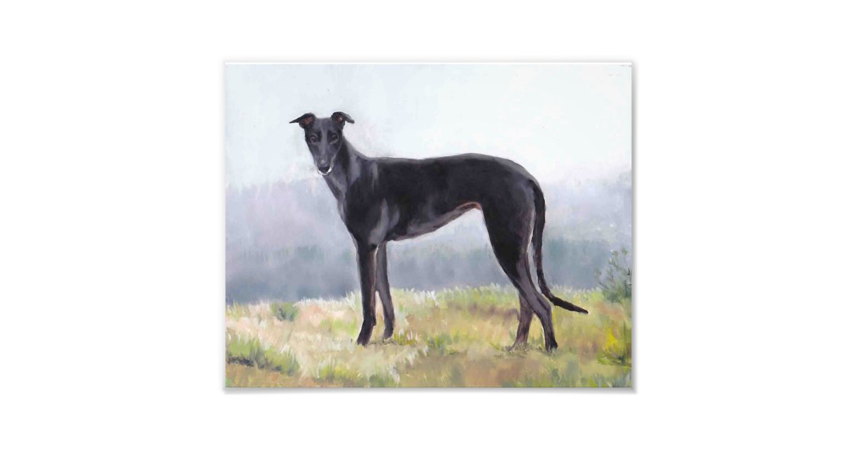 Black Greyhound Standing Dog Photo Print | Zazzle