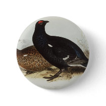 Black Grouse buttons