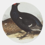 Black Grouse Sticker