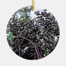 Black Gum nuts with its branches Christmas Ornaments