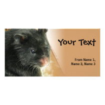 Black Hamster Photo Custom Photo Card