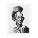 Black Hawk ~ Sac Sauk Indian Chief Postcards