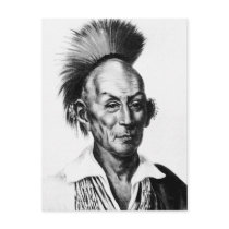 Black Hawk ~ Sac Sauk Indian Chief Postcards