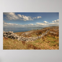 Black Head View Posters