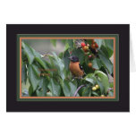 Black-headed grosbeak5905 cards