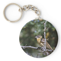 Black-headed grosbeak perched on tree limb keychain