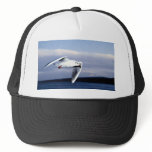Black-headed gull in flight mesh hat