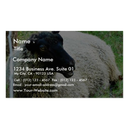 Black Headed Sheep On Grass Business Cards (front side)