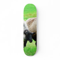 Black Headed Sheep skateboards by lifesphere Black Headed Sheep skateboards