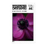 Black Heart 2 Postage Stamp