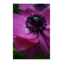 Black heart posters by PBsecretgarden Black heart posters