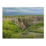 Black Hills of SD Postcards