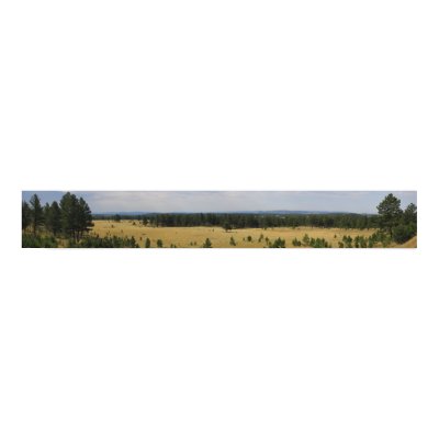 Black Hills Panoramic 44 Poster by FagnanPhoto