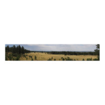 Black Hills Panoramic 45 posters