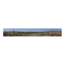 Black Hills Panoramic 47 posters