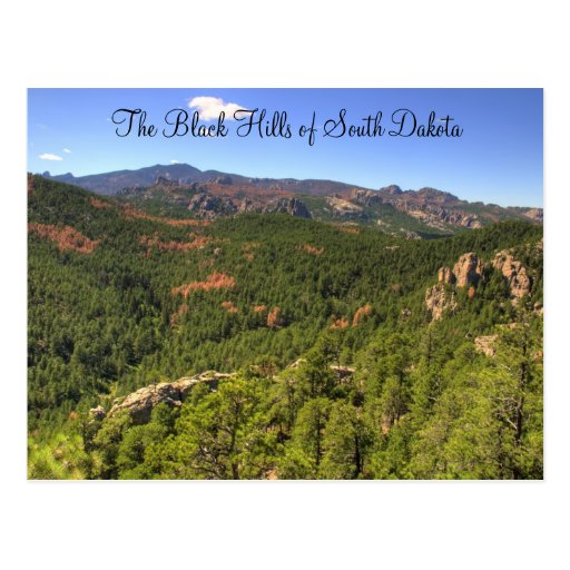 Black Hills South Dakota Postcard | Zazzle