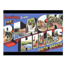 Black Hills South Dakota Vintage Postcard