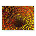 Black Hole Spider Web posters
