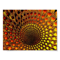 Black Hole Spider Web posters