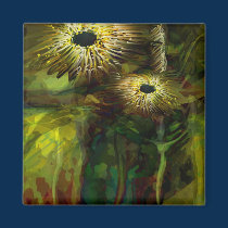Black holes in green space magnets by talisbird Black holes in green space magnets