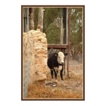 black holstein cow print with border by FamilyNature black holstein cow print with border