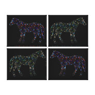 Black Horse 4 Canvas Print wrappedcanvas