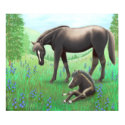 Black Horse and Her Baby Poster posters