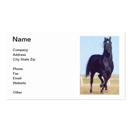 Black Horse Business Card (front side)