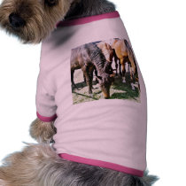 Black Horse pet clothing by lifesphere Black Horse pet clothing