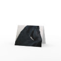 Black Horse - Friesian Note Card