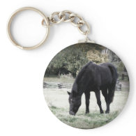 Black Horse Grazing on Farm Field Photograph Key Chains