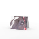 Black Horse greeting card