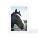 Black Horse Greeting Card for All Occasions