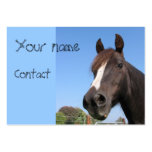 Black Horse Head Business Card business cards