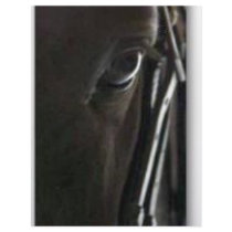 black horse customized letterhead