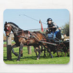 black horse on cde course mousepad