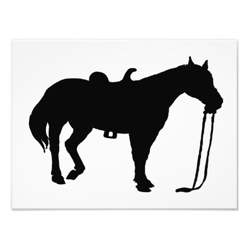 Black Horse Photo Print | Zazzle