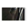 black horse personalized photo card