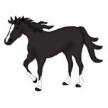 Black Horse Photo Sculpture